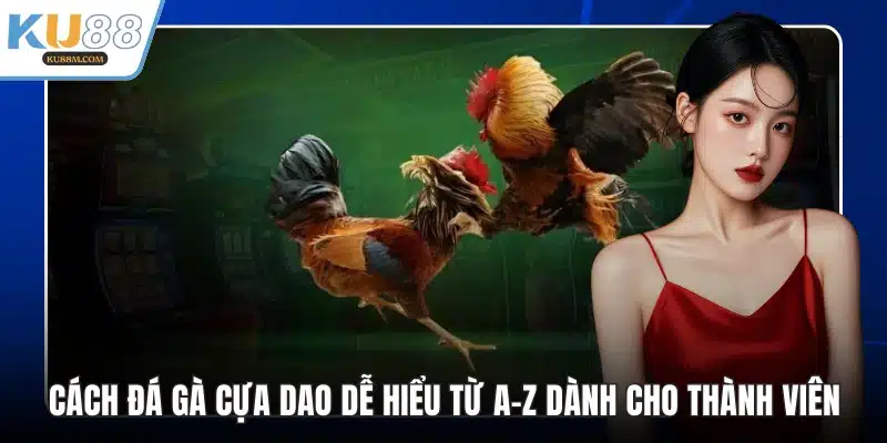Cách Đá Gà Cựa Dao Dễ Hiểu Từ A-Z Dành Cho Thành Viên - COHUFE.FUN